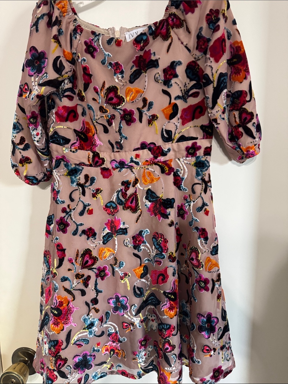 Ivy City Co Blush Pink Multicolor Velvet Floral Dress